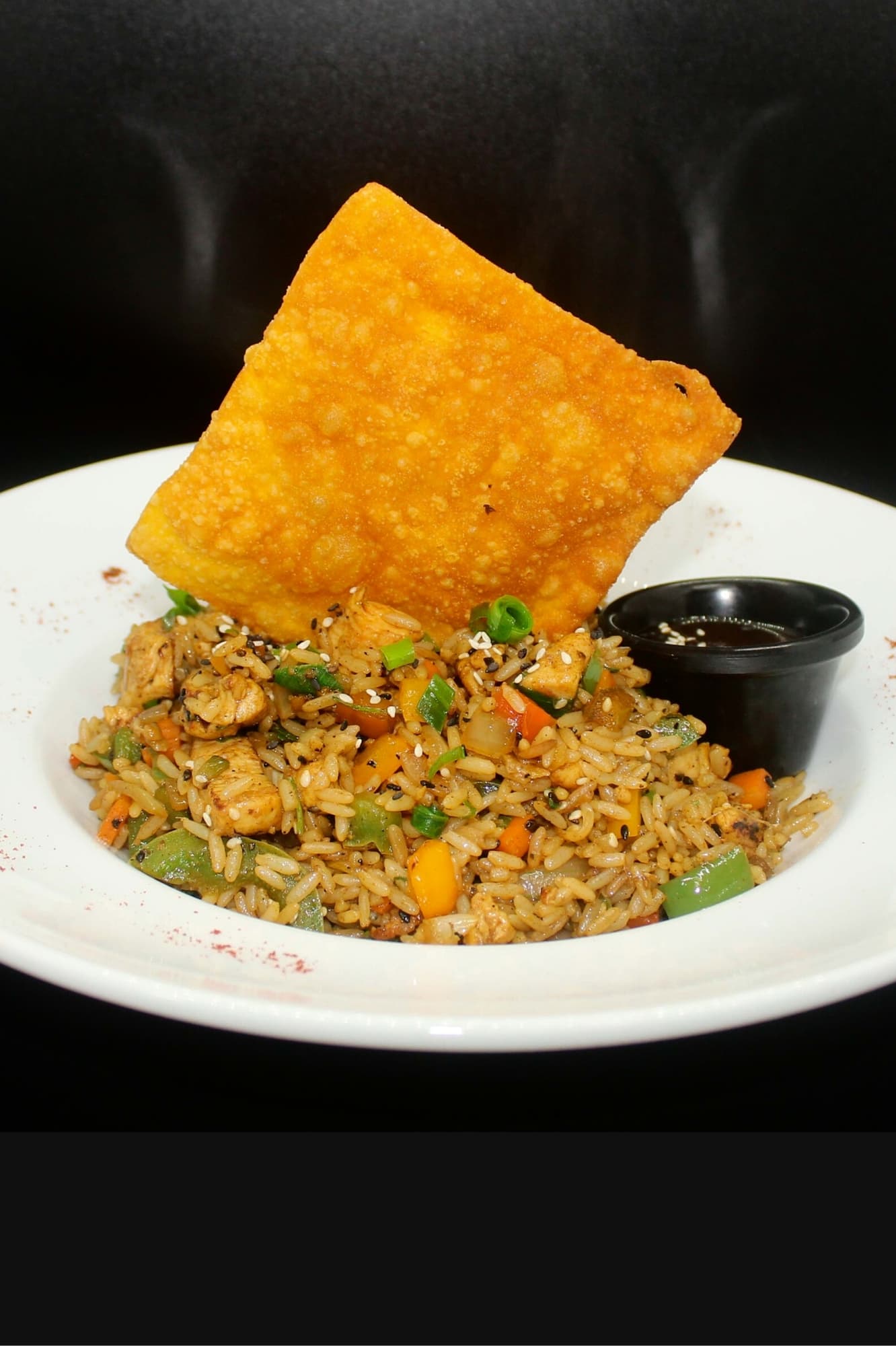ARROZ FRITO DE POLLO O CARNE