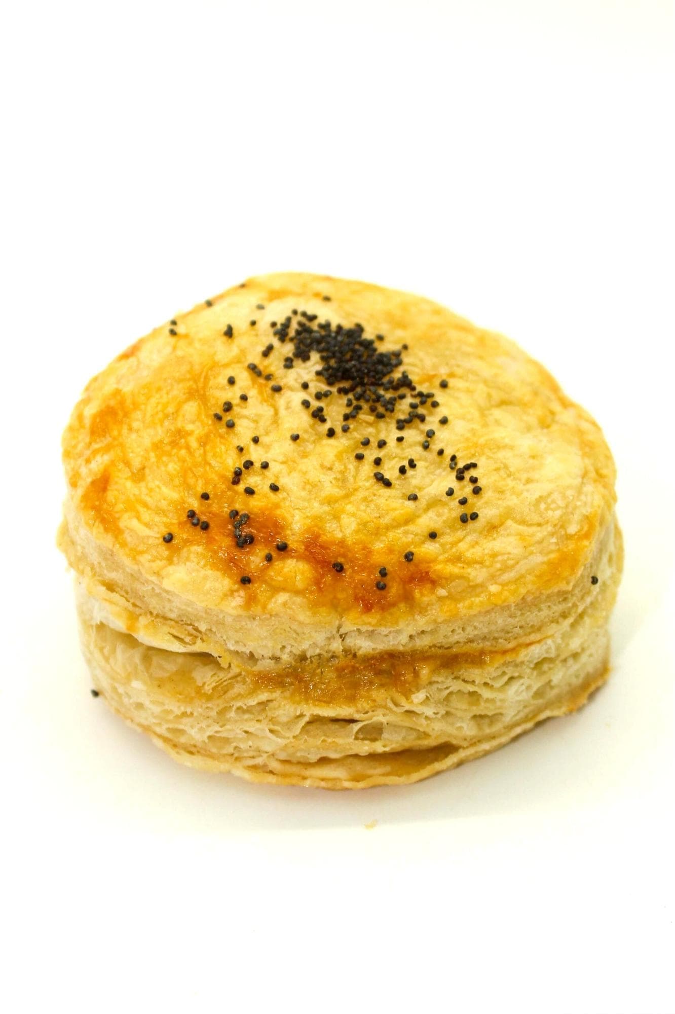 PASTELITOS DE HONGOS